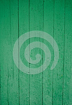 Background picture made of old green wood boards