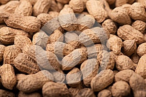 Background pictures of many peanuts