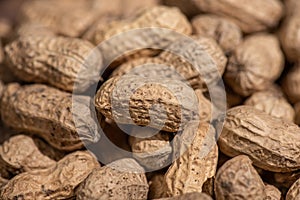 Background pictures of many peanuts