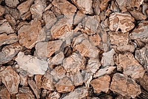 Background of pine bark nuggets layer