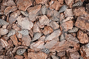 Background of pine bark nuggets layer