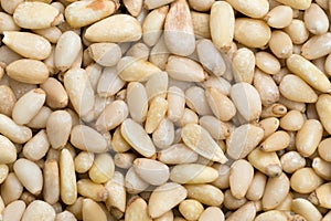 Background of pine nuts