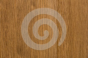 Background of pine wood surface