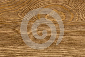 Background of pine wood surface