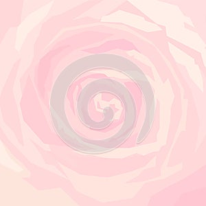 Background pink rose close-up