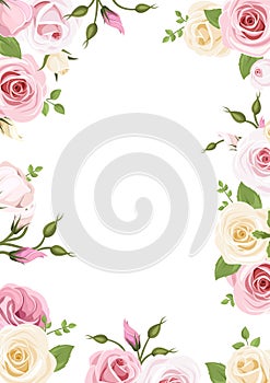 Background with pink and white roses and lisianthus flowers. Vector illustration.