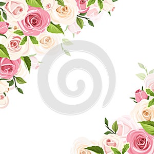 Background with pink and white roses. Vector illustration.