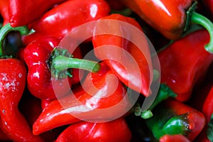 Background of piquillo peppers, in Lodosa, spain