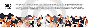 Background with place for text and different thoroughbred dogs. horizontal orientation banner, flyer, header for site.
