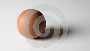 The background is plain emphasizing the egg as the central focus of the image