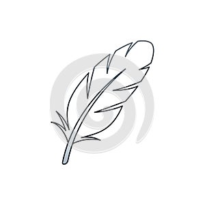 The background is plain white emphasizing the feather s outline