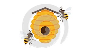 Background is plain white emphasizing the hive and bees as the