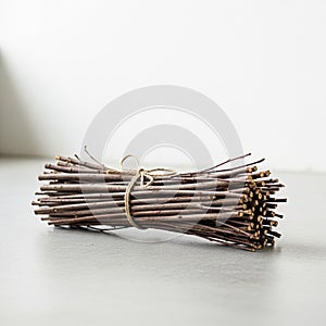 Background is a plain white wall creating a minimalistic and clean