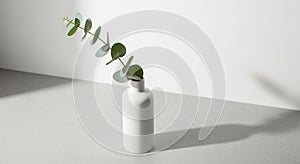 Background is a plain white wall providing a simple and clean