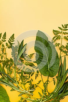 Background with plants in an eco-friendly style