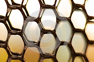 Background of plastic net in octagon shape