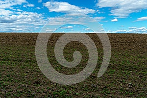 The background is a plowed field and beautiful clouds. Deep furrows in the ground after tractor work with a plow. Plowing the