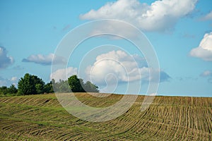 The background is a plowed field and beautiful clouds. Deep furrows in the ground after tractor work with a plow. Plowing the