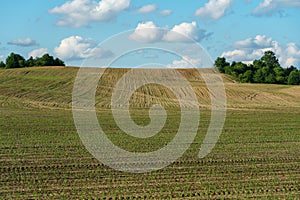 The background is a plowed field and beautiful clouds. Deep furrows in the ground after tractor work with a plow. Plowing the