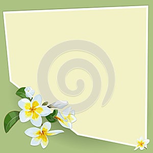 Background with Plumeria flowers