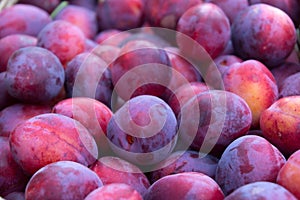A background of plums