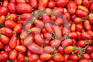 Background of the plurality of red tomatoes photo