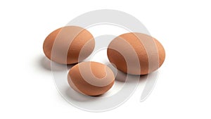 Background provides a clean and contrasting backdrop emphasizing the