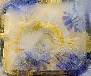 Background of pumpkin,  marrow, zucchini, chicory succory flower   frozen in ice