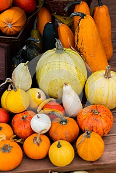 The background of pumpkins on a wooden terrace