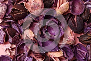 Background from of purple and pink dry flowers, leaves and petals on pink background. Colorful background image
