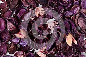 Background from of purple and pink dry flowers, leaves and petals on white background. Colorful background image