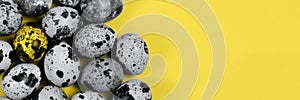 The background with the quail eggs in the trendy illuminating yellow and ultimate gray colors of the year, the banner. The