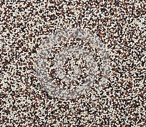 Background Qunioa Seeds