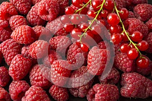 Background of raspberries and red currants. Fresh berries closeup. Top view. Background of red berries. Various fresh summer fruit