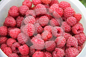 Background of raspberry