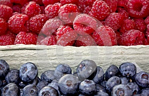 Background of raspberry and blueberry in packing containers, cardboard boxes with berries, red and blue fruit in package
