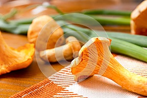 Background with raw golden chanterelle mushrooms. Seasonal mushrooms, harvest on a wooden table with a checkered napkin and green