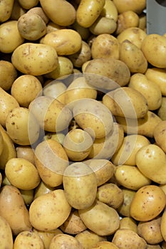 Background of Raw Potato for French fries