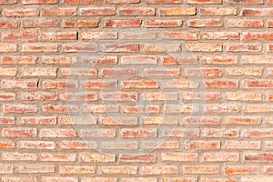 Background from a red brickwall photo