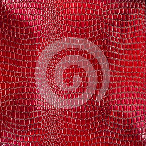 Background of red lacquering crocodile. Concave