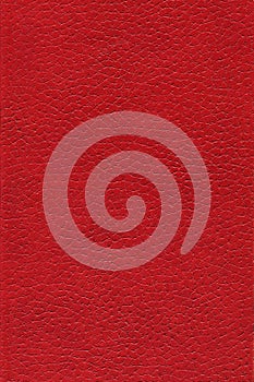 Background of red leather