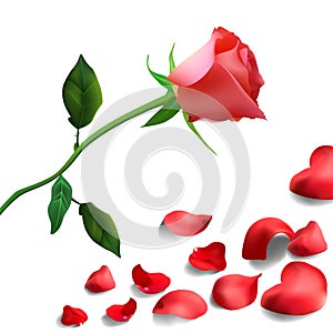 Background of red rose petals with flower