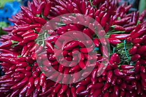 Background of red spicy chili peppers without GMOs