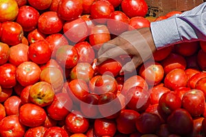 Background of red tomatoes for sale