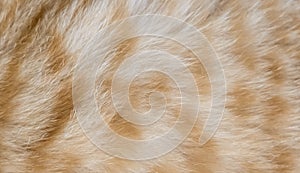 Background of red wool with patterns