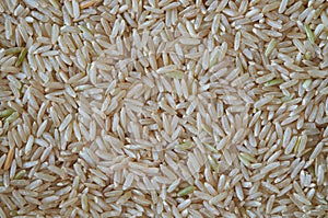 Background of rice