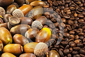 Background of ripe acorns and roasted coffee beans