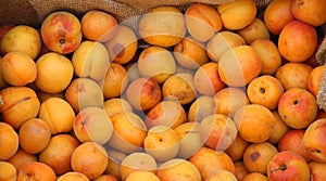 Background of ripe apricots