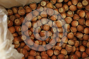 Background of ripe brown hazel nuts.