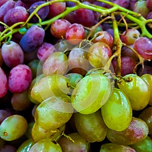 Background of ripe colorful grapes in the market. Ripe fruits on the counter. Macro photo